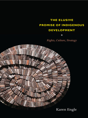 cover image of The Elusive Promise of Indigenous Development